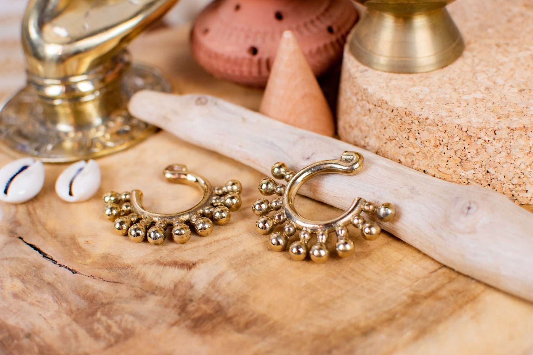 Paire de poids d'oreilles