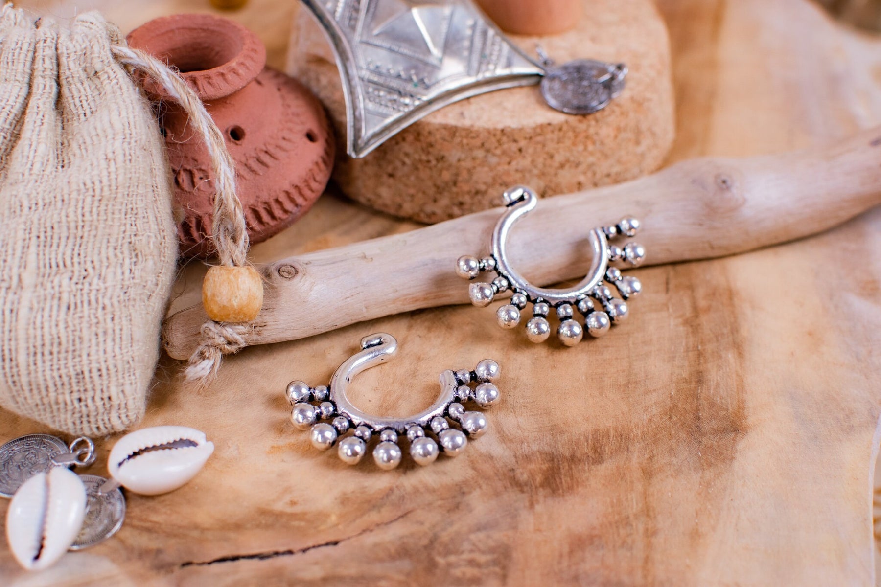 Paire de poids d'oreilles