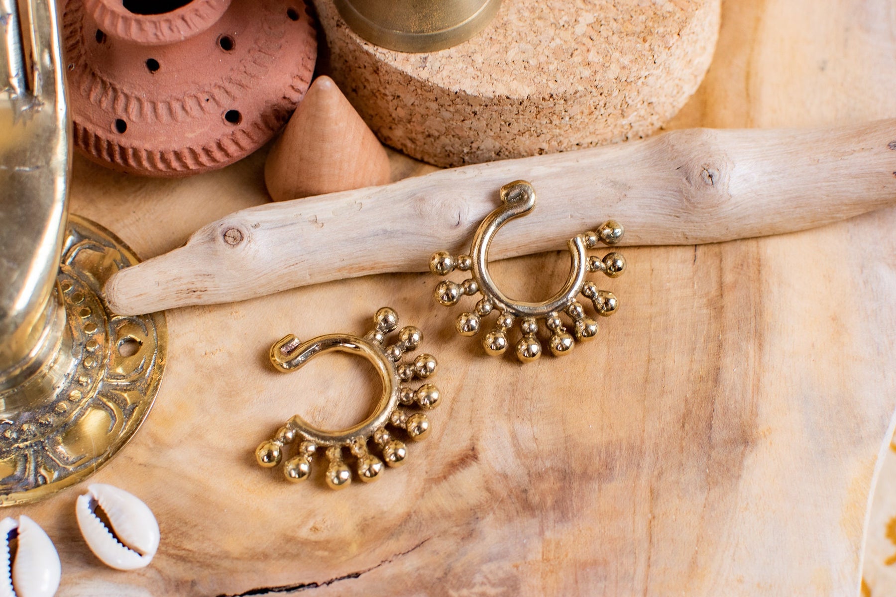Paire de poids d'oreilles