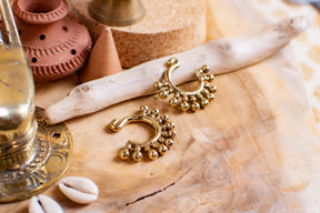 Pair of ear weights